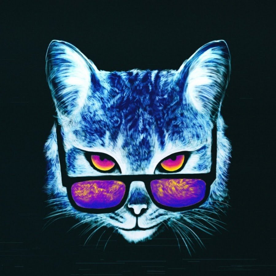 Кот в очках арт