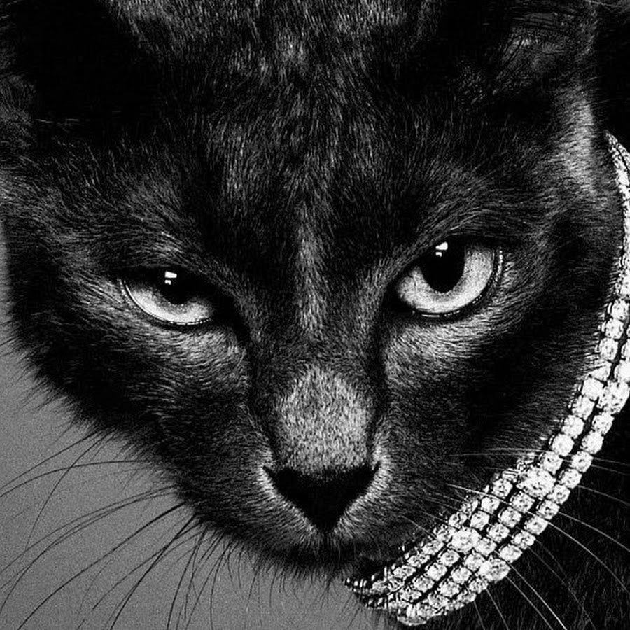 Девушка с кошкой рисунок