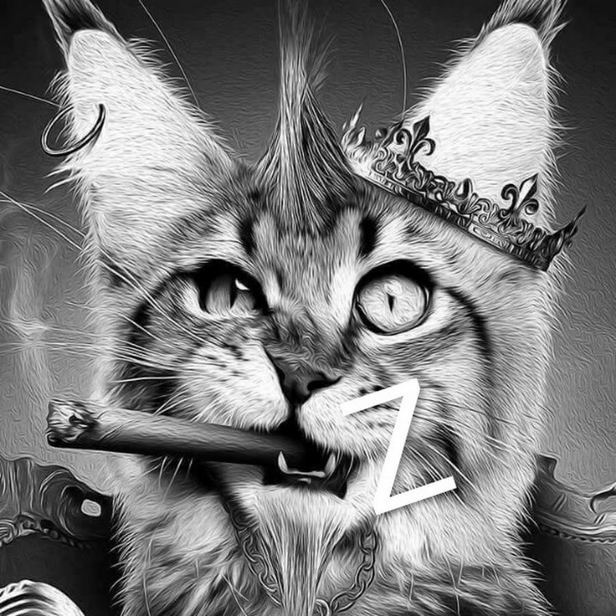 Аватарка кот