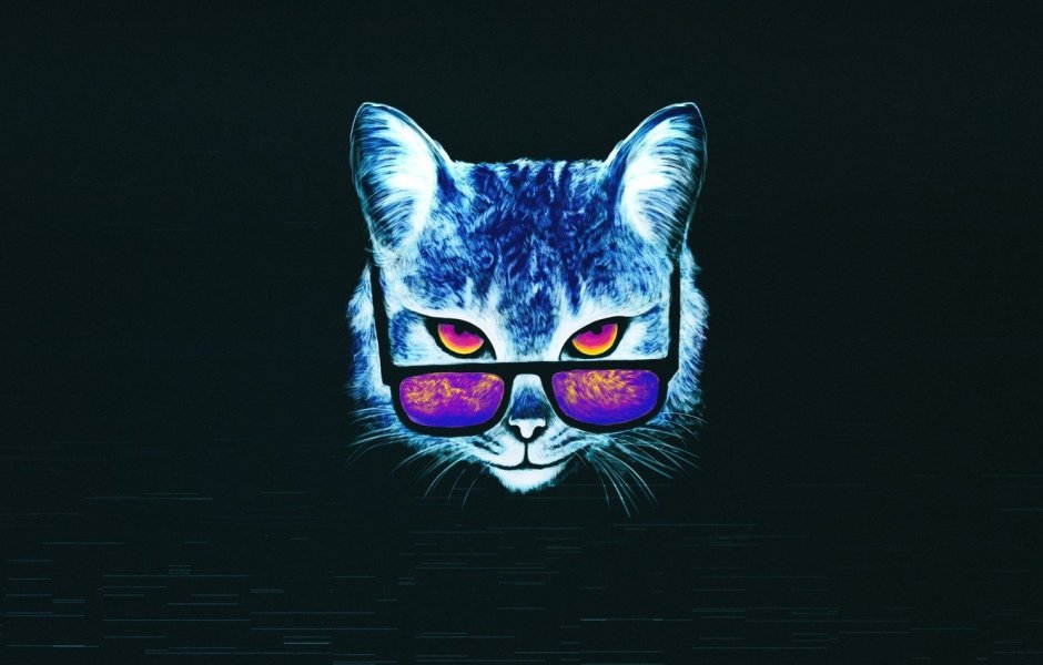 Кот в очках