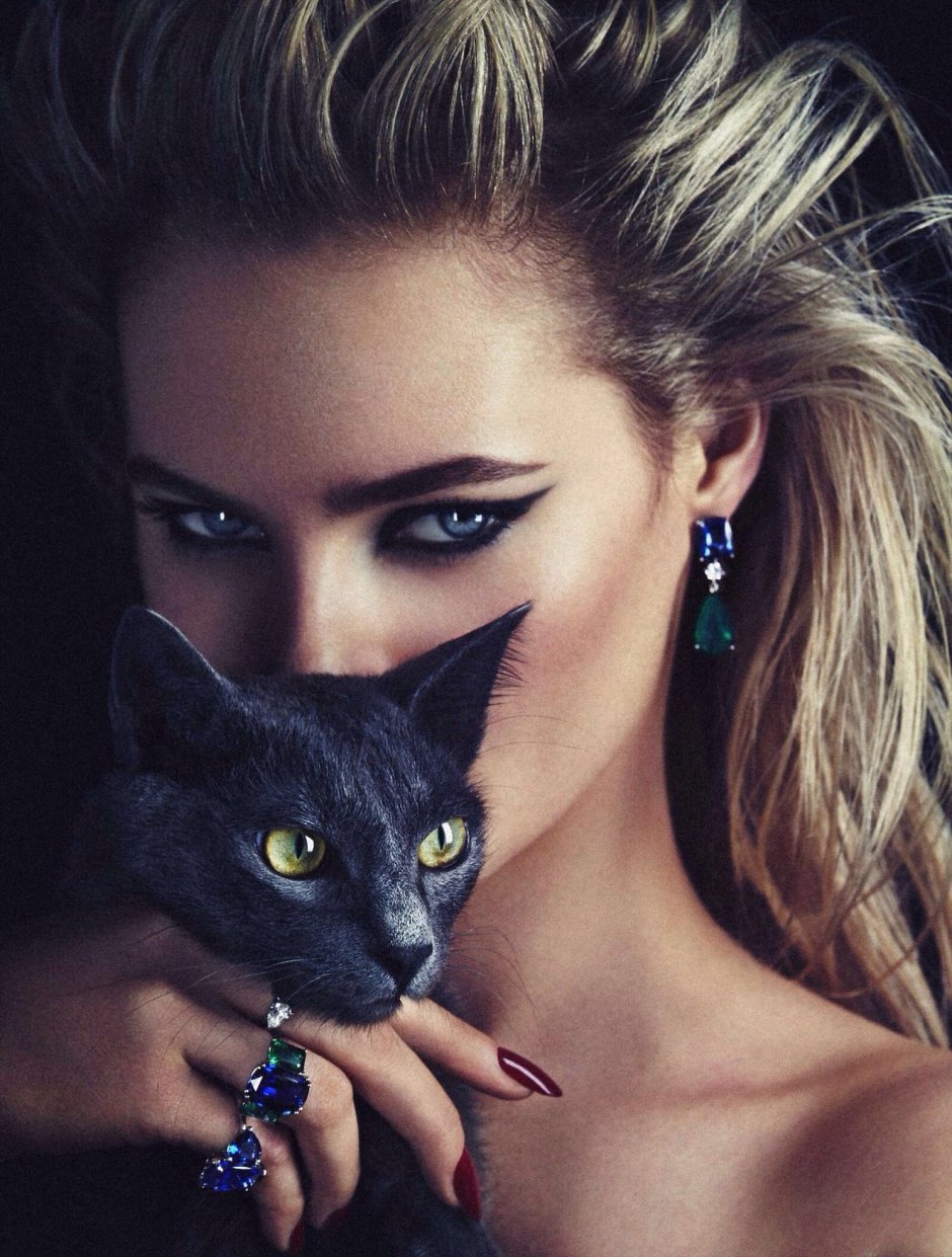 Кот в шапке ушанке