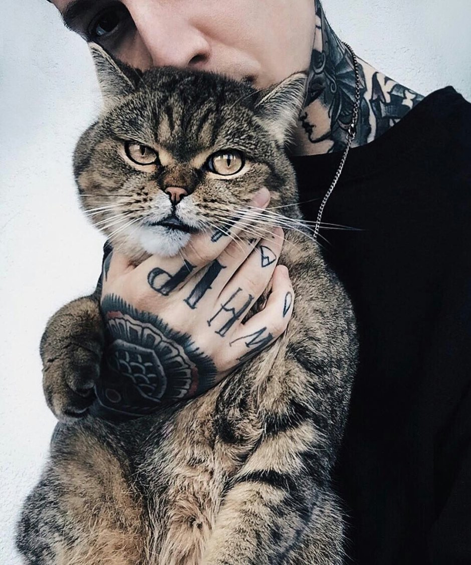 Парень с котом на аву