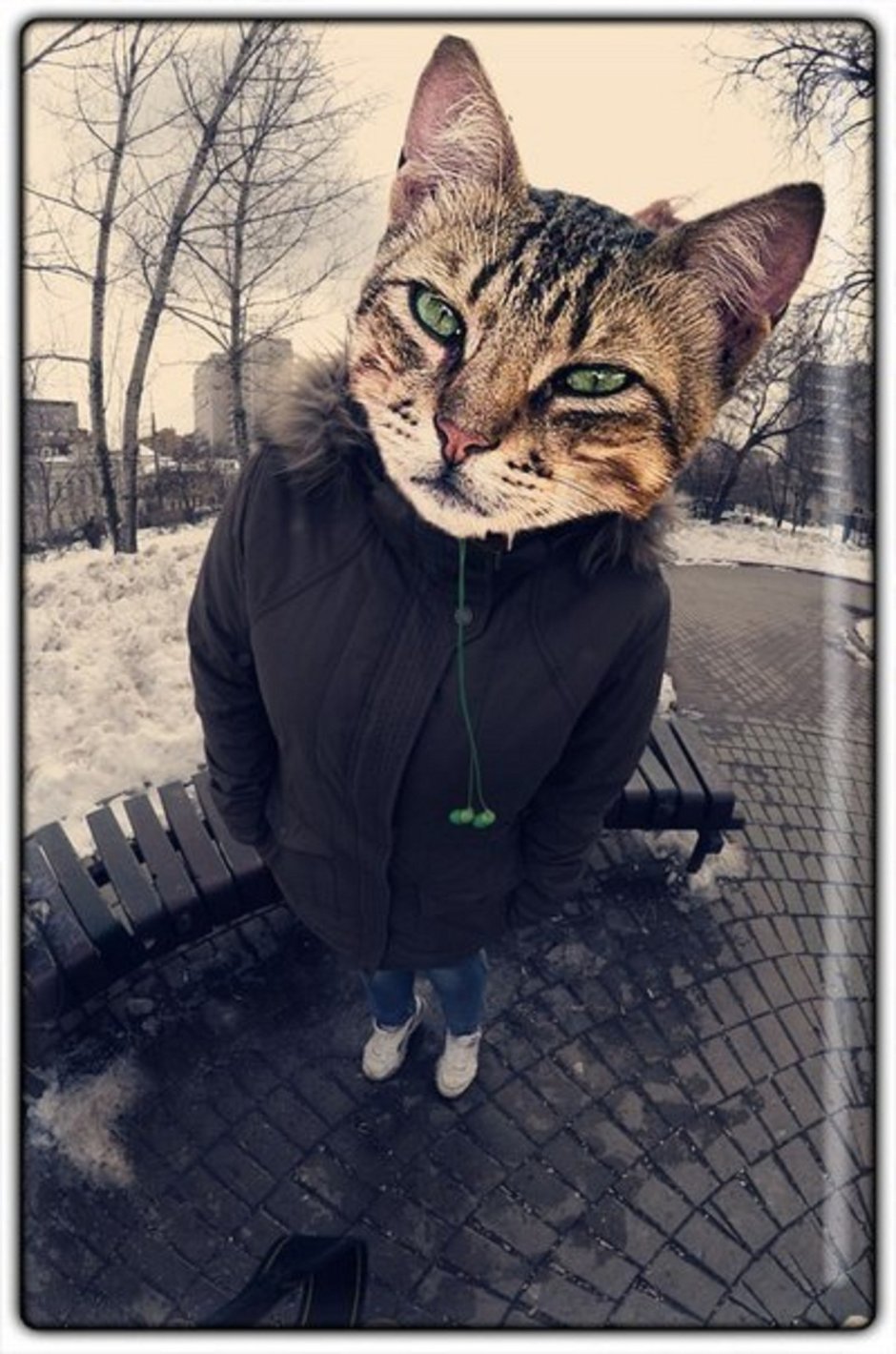 Парень с головой кота