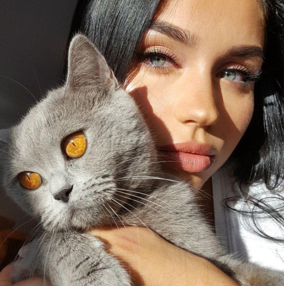 Котик в военной шапке