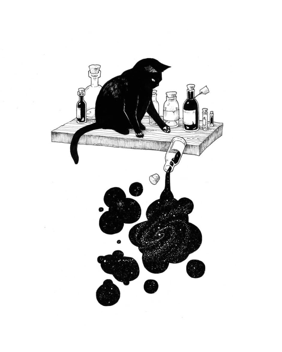 Черный кот Эстетика