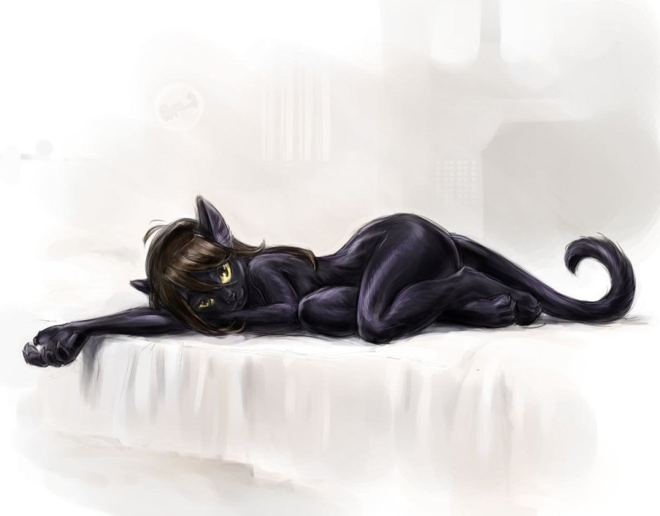 Черная кошка