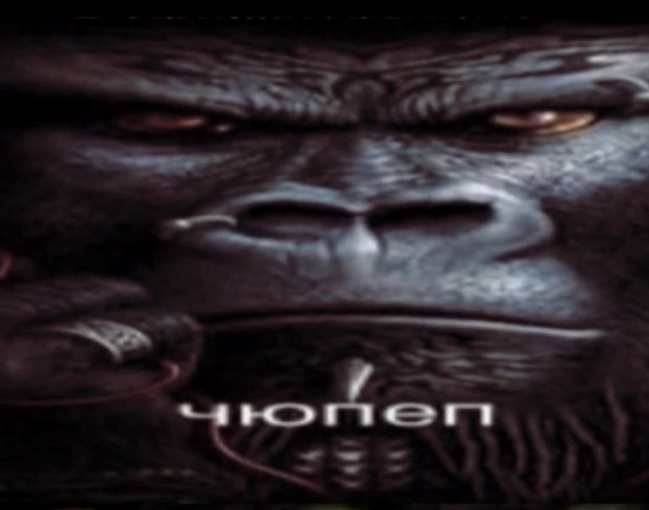 Silverback горилла