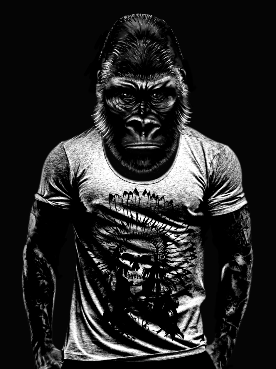 Горилла самец Shabani