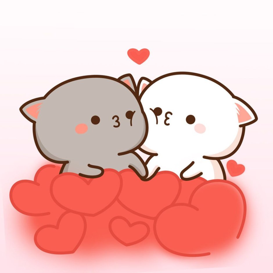 Кавайные котики парочка
