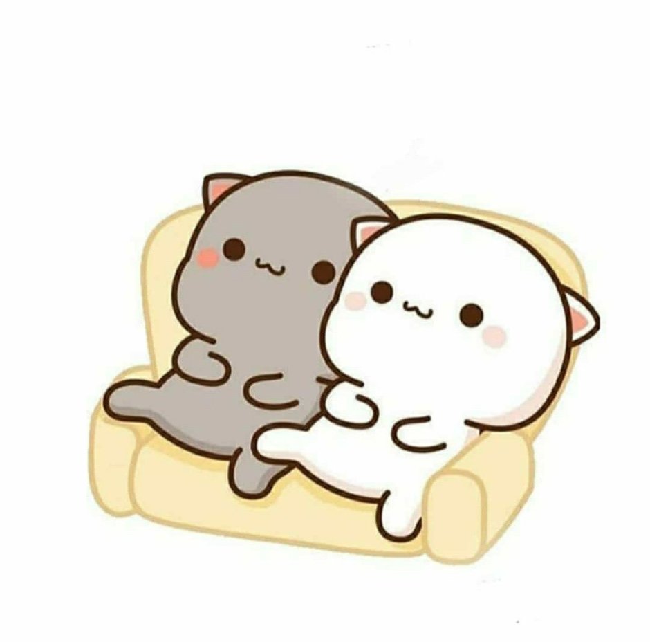Кавайные котики парочка
