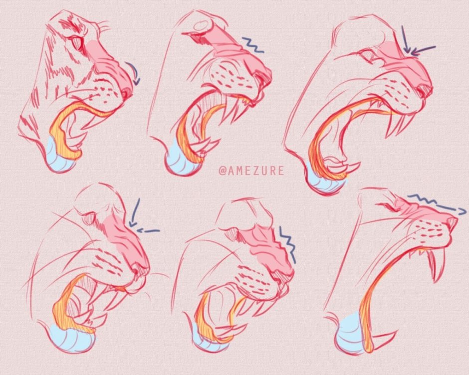 Афоризмы про зубы