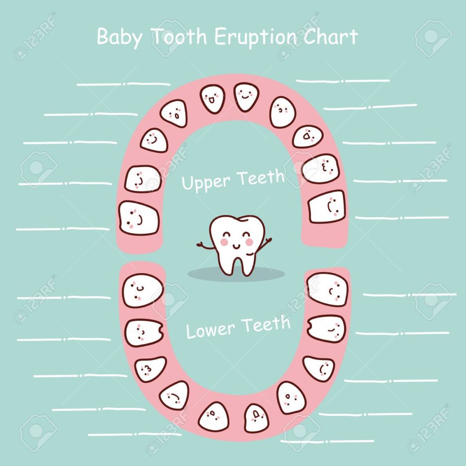 Маленькие кошачьи зубки