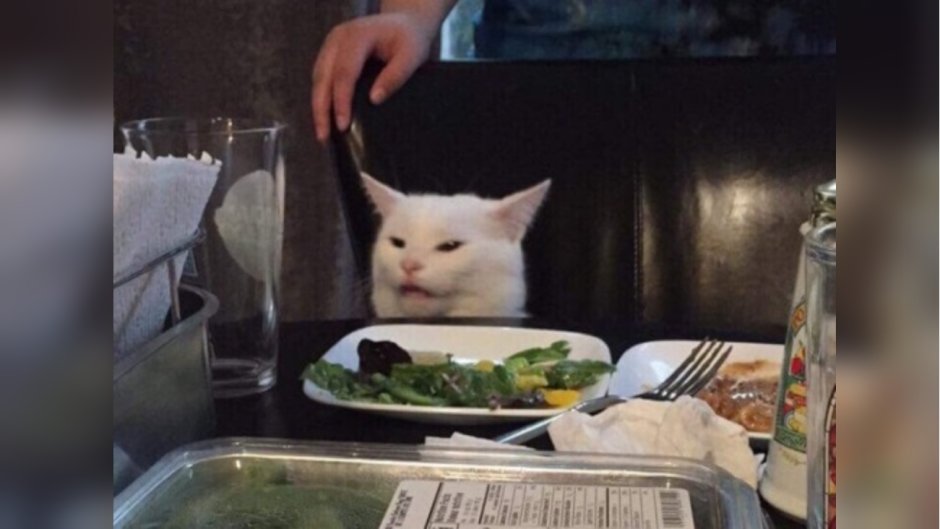 Кот за столом