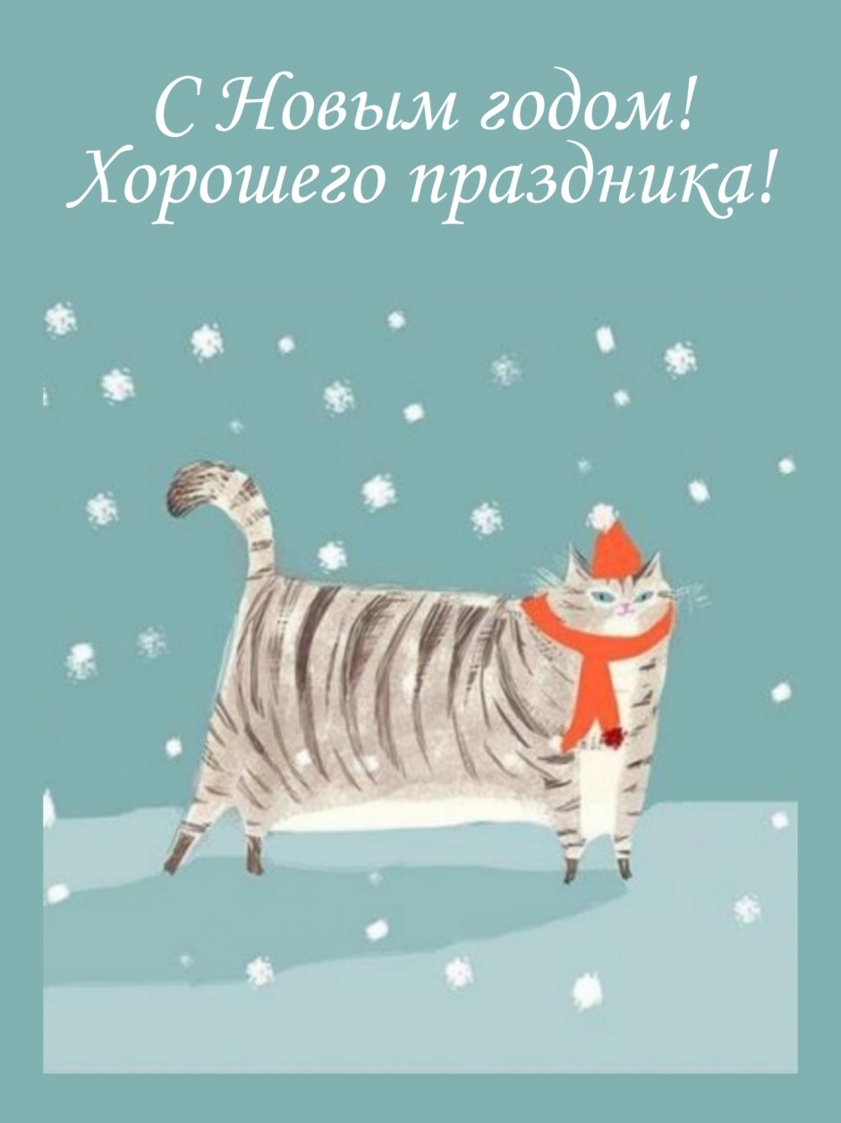 Картинки на 21 декабря с котом праздник