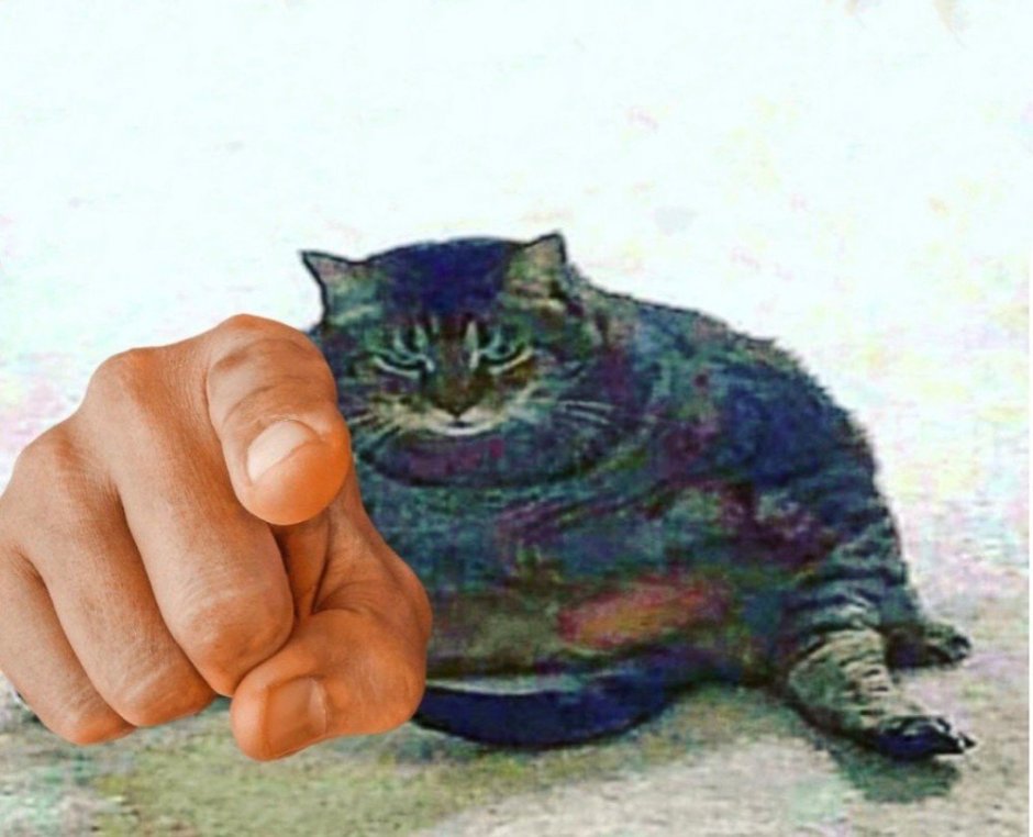 Hohol Мем с котом