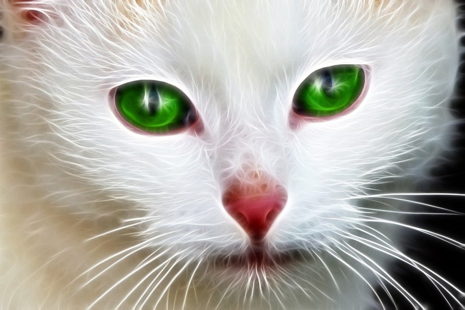 Белая кошка с зелеными глазами