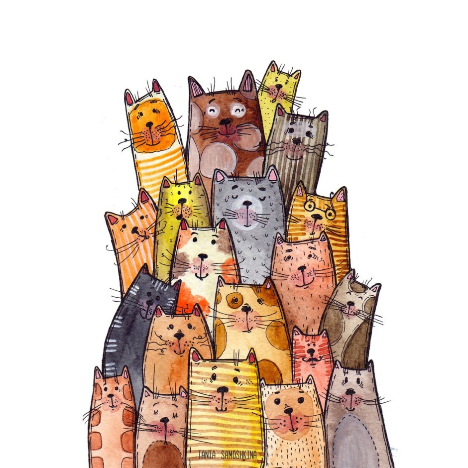 С днем рождения кот