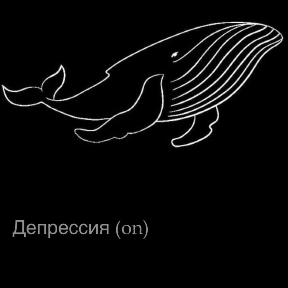 Очертание кита на черном фоне