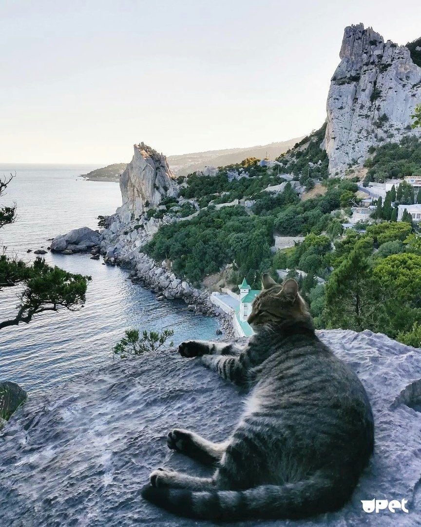 Скала кошка Симеиз