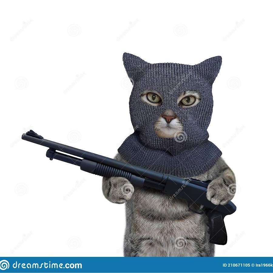 Коты Балаклавы фото