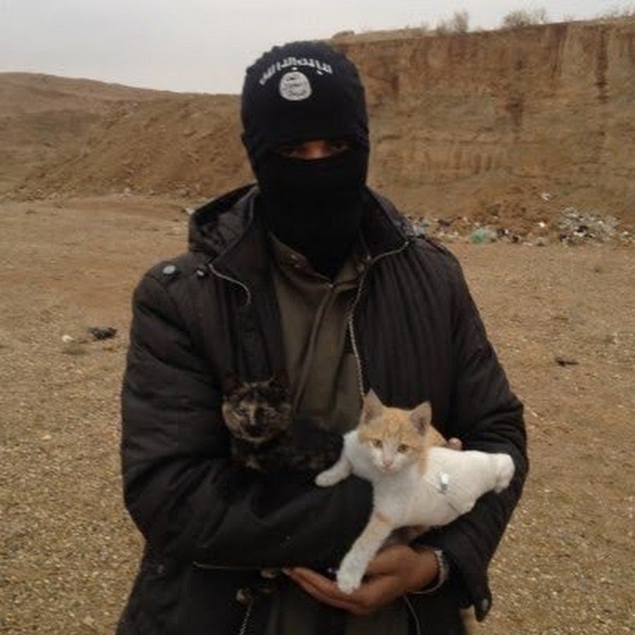 Милые террористы