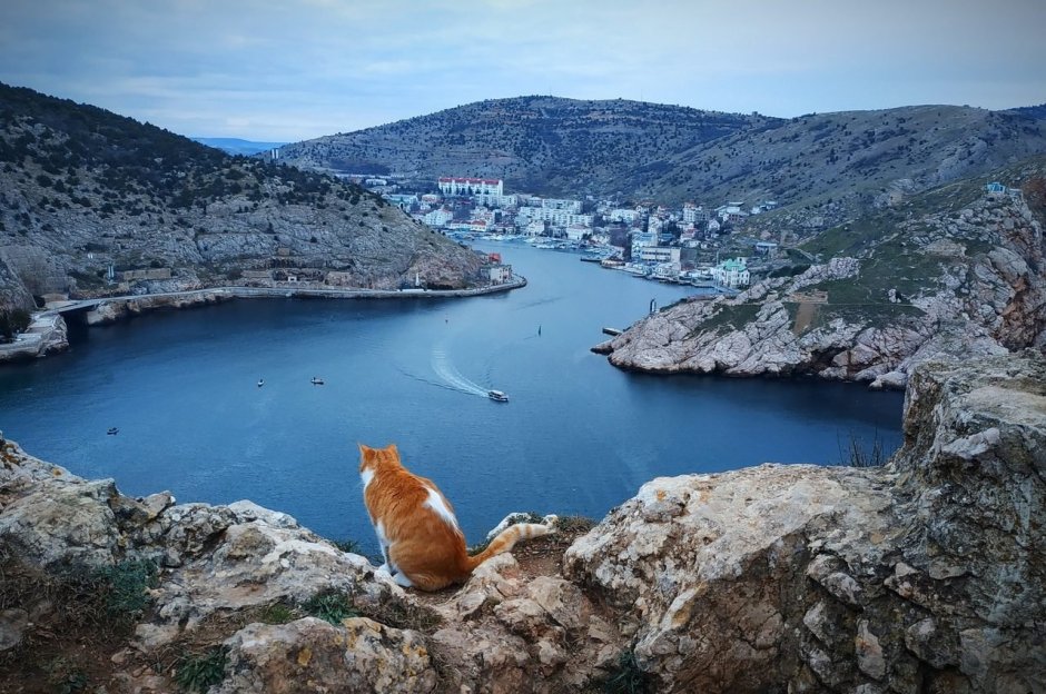 Балаклава бухта 2021