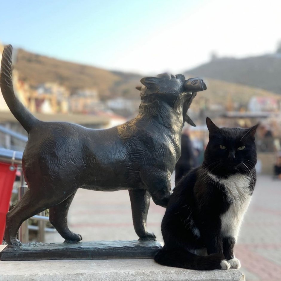 Балаклавский кот памятник