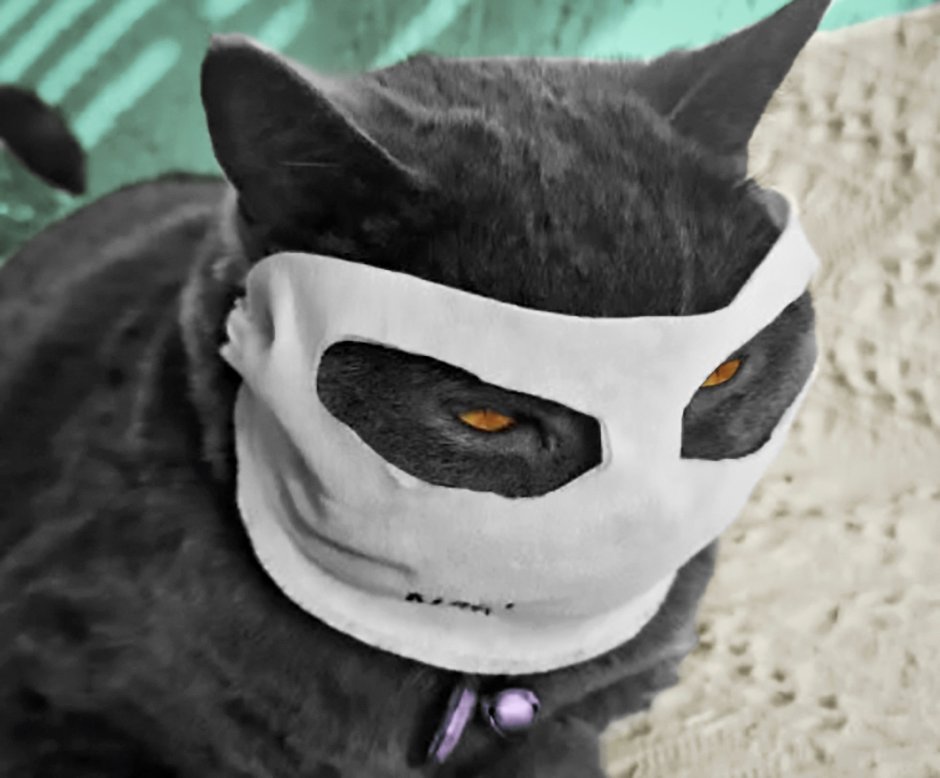 Котик в маске для лица