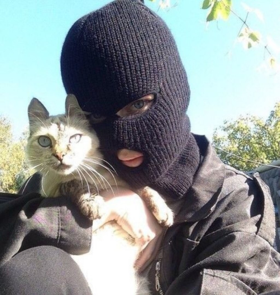 Кот гангстер