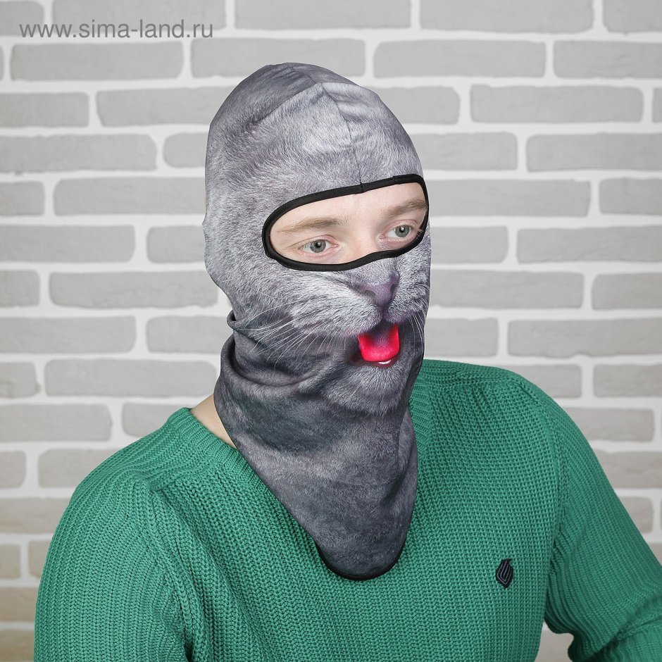 Кот в Балаклаве маске