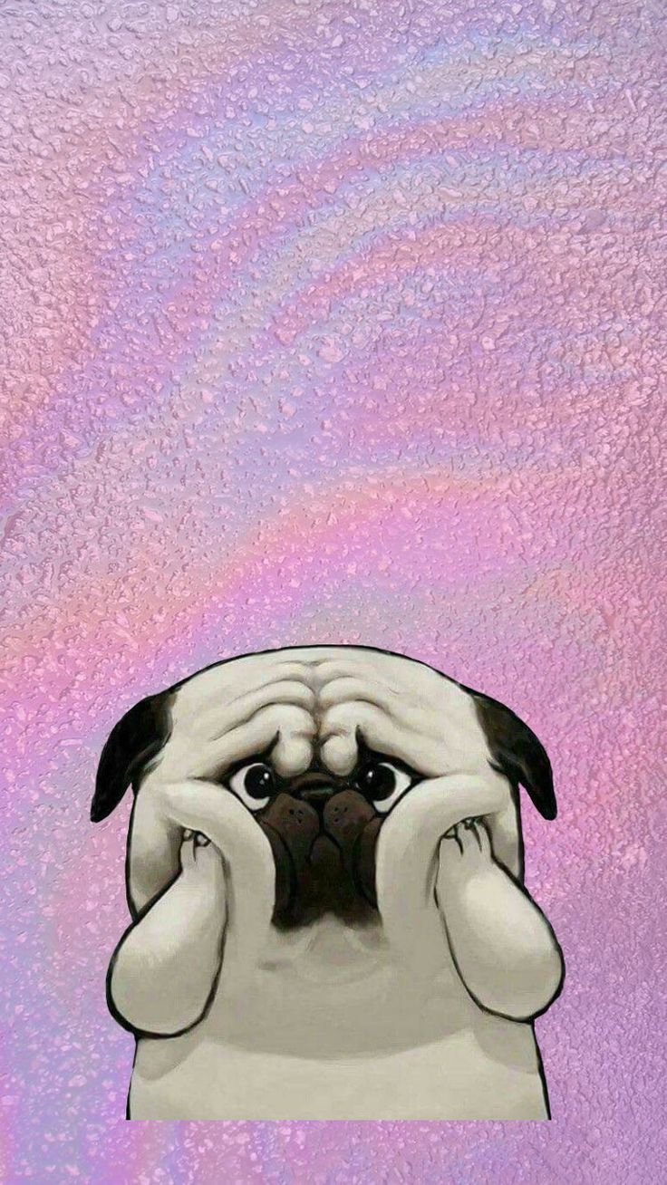 Милый фон с мопсами