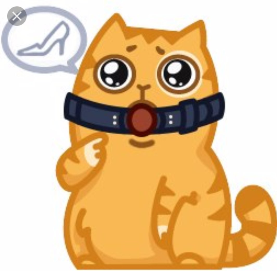 Кот персик с членом