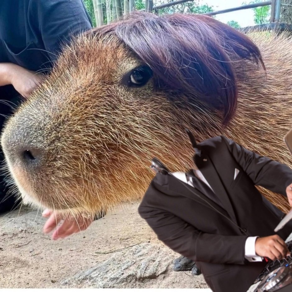 Синяя капибара