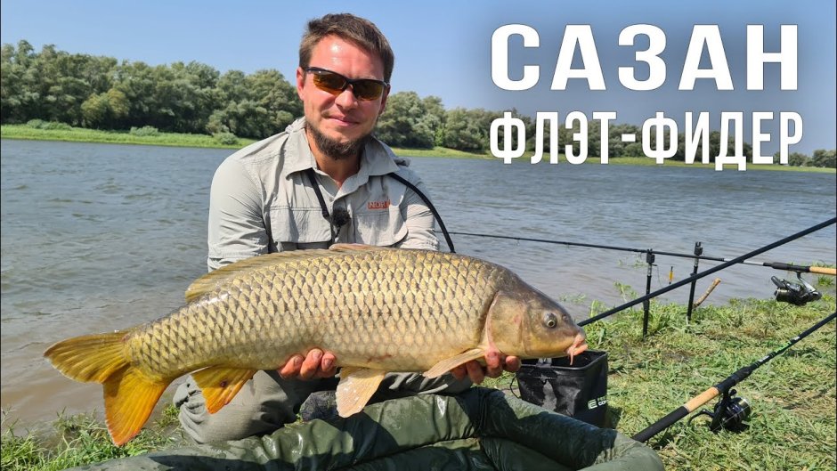 Трофейный сазан