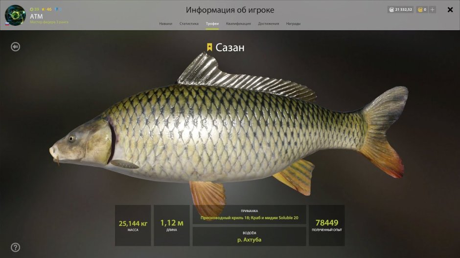 Сазан трофей