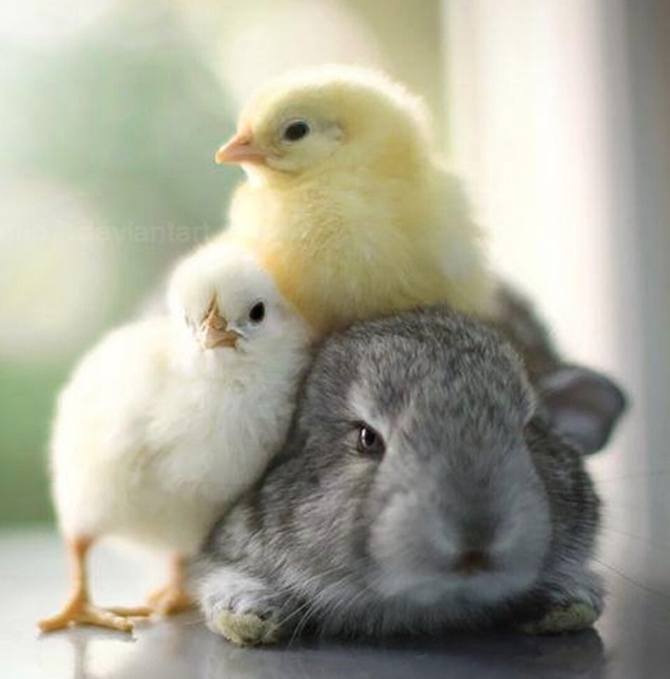 Олег Ярунин фотограф