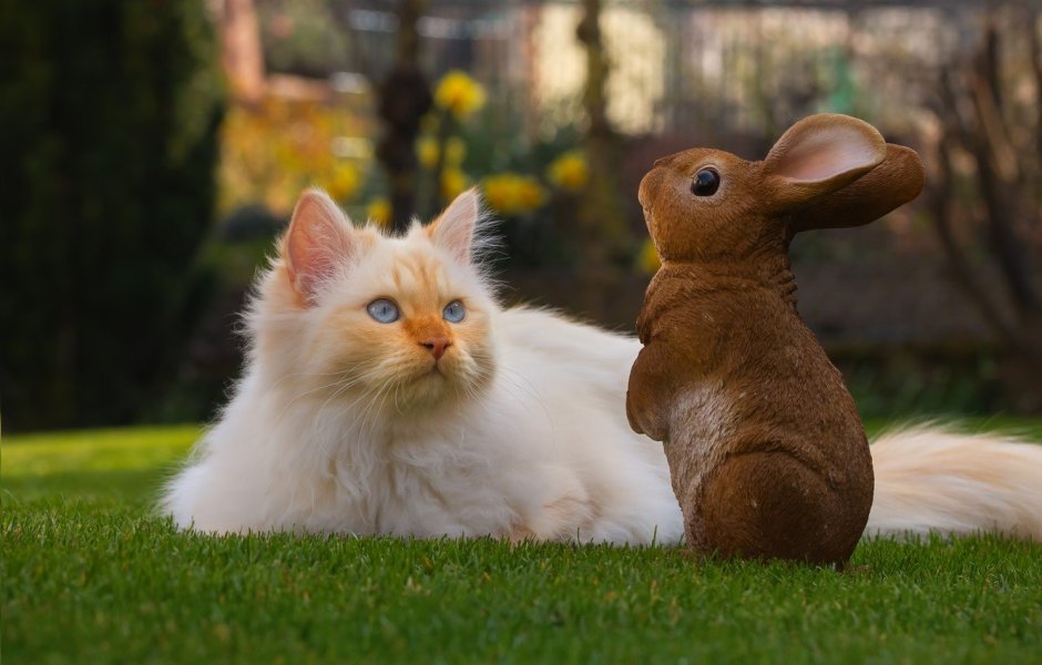 Открытки с Пасхой