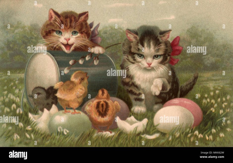 Зайка и цыпленок