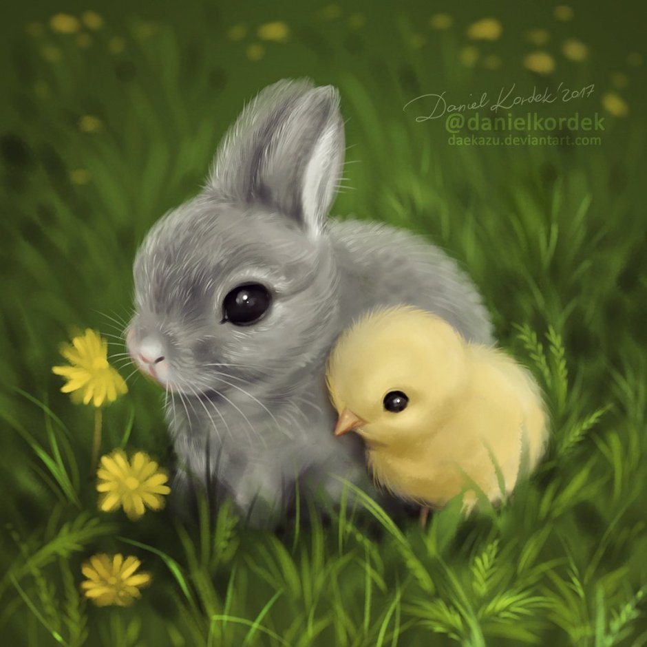 Много котиков