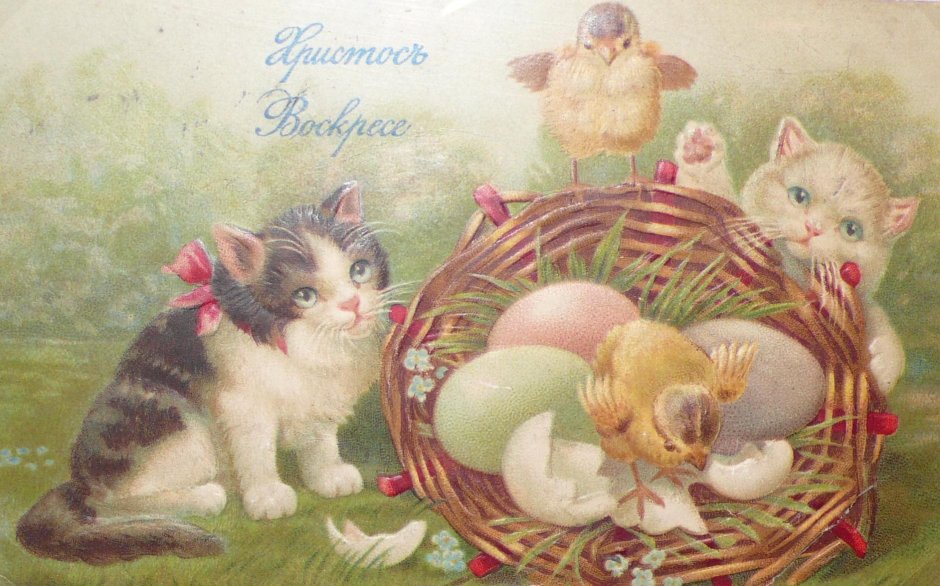 Цыпленок в скорлупе