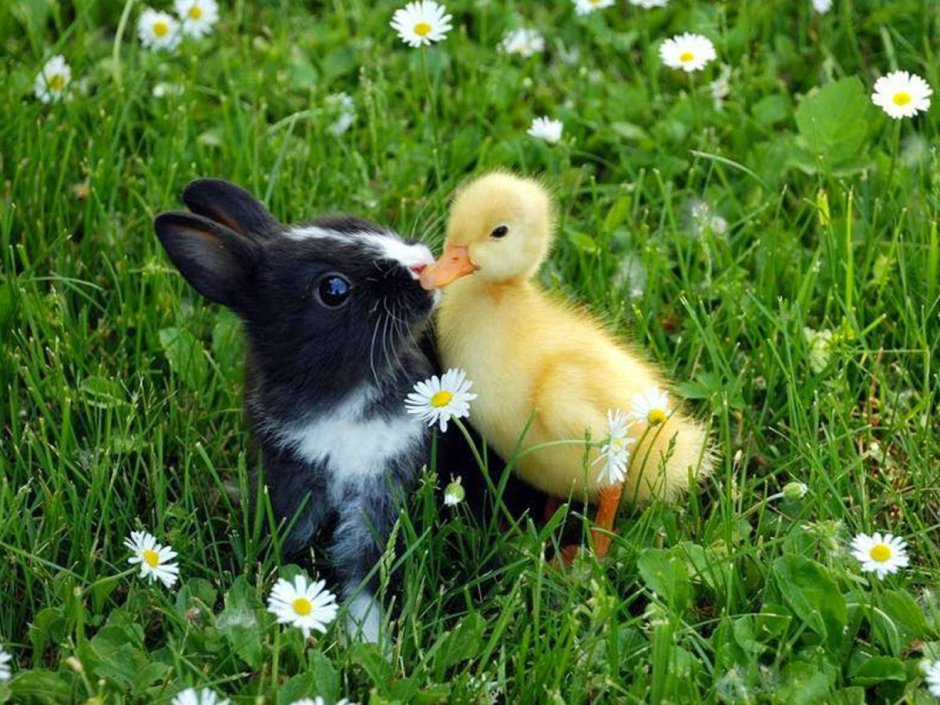 Стикер обнимашки