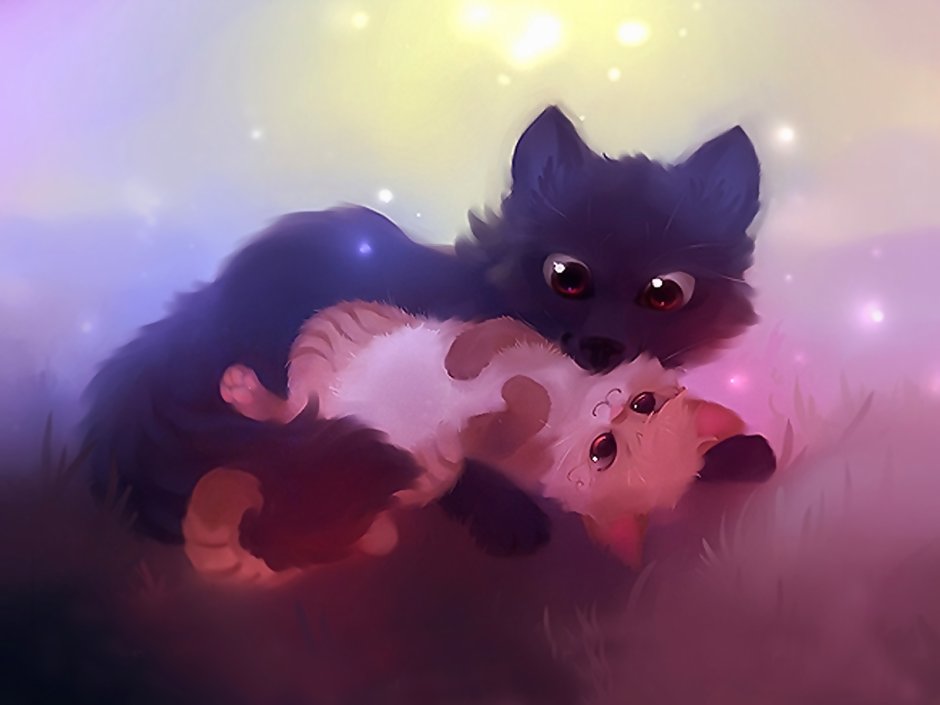 Котики спят рядом