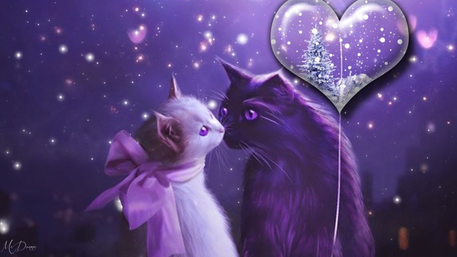 Котики фэнтези любовь