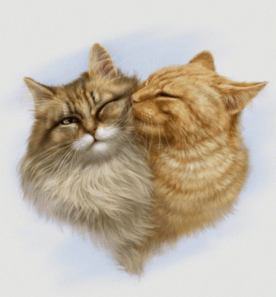 Влюбленные коты под луной