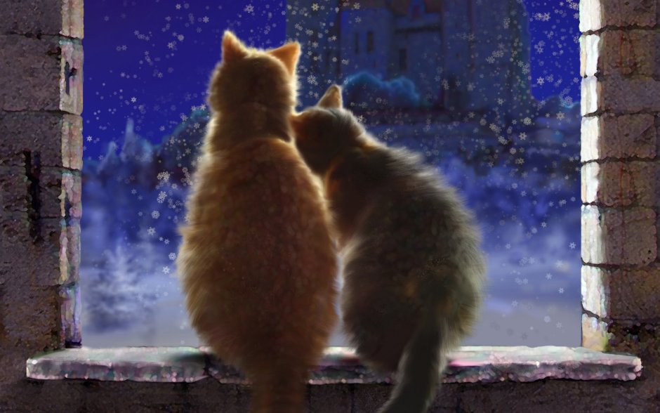 Котики обнимаются