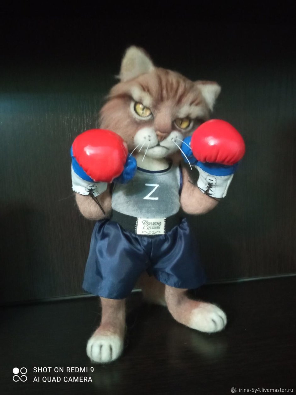 Котик геймер
