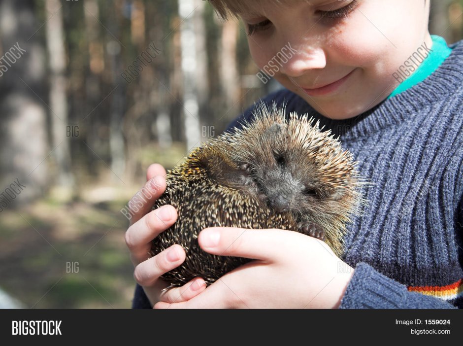 Мальчик с Ёжиком