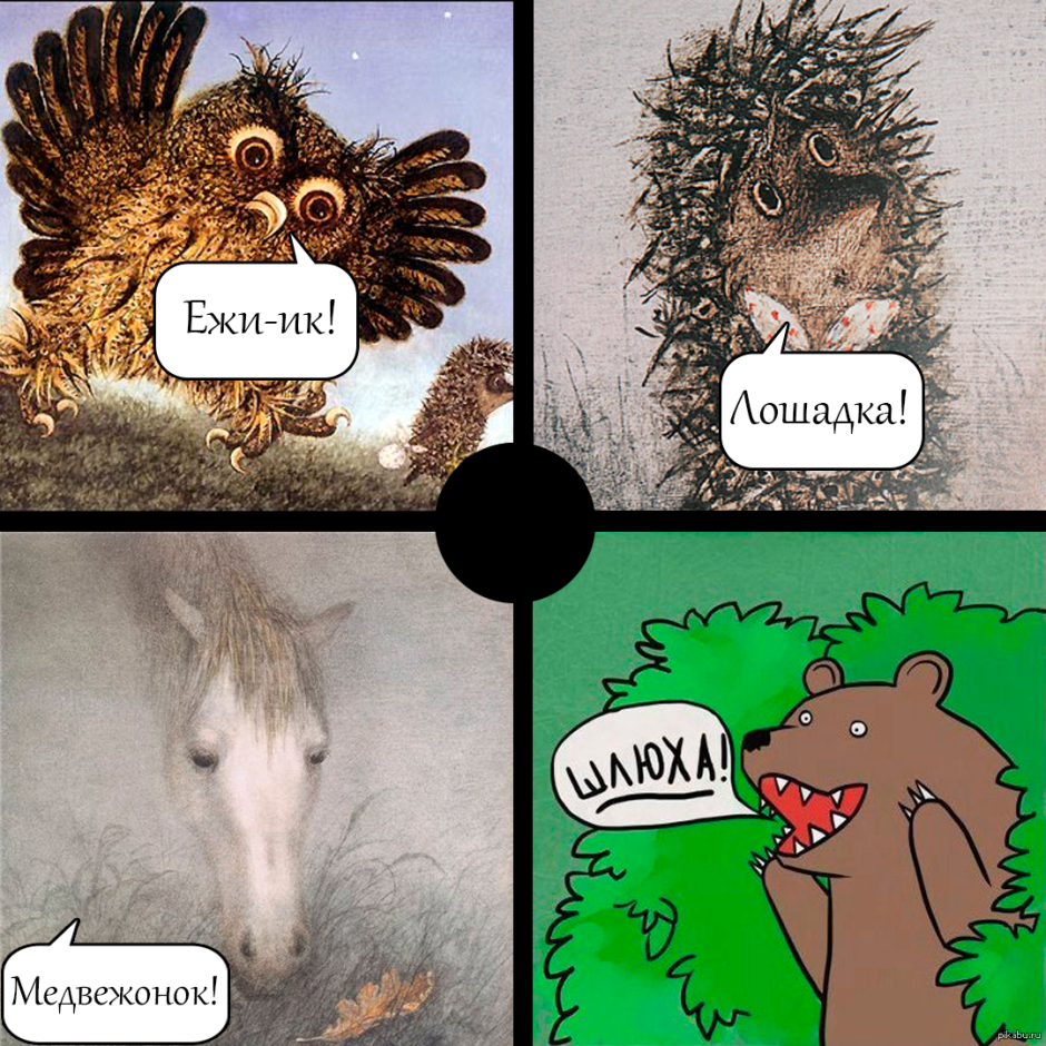 Птица киви самка и самец