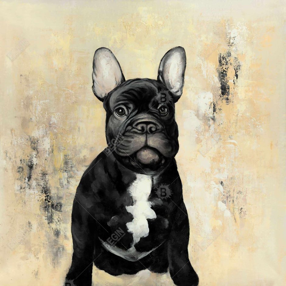 Харатишвили Нина французский бульдог