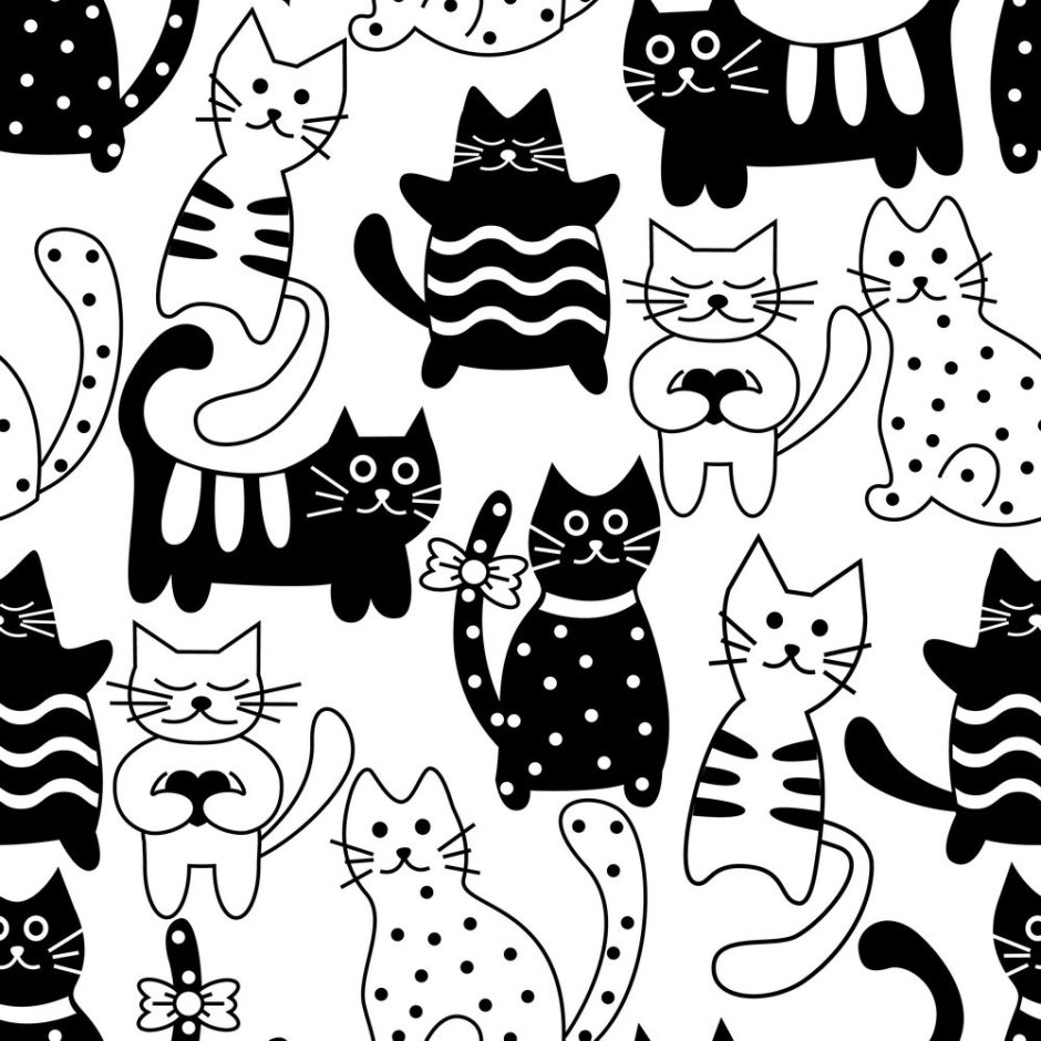 Котики черно белые
